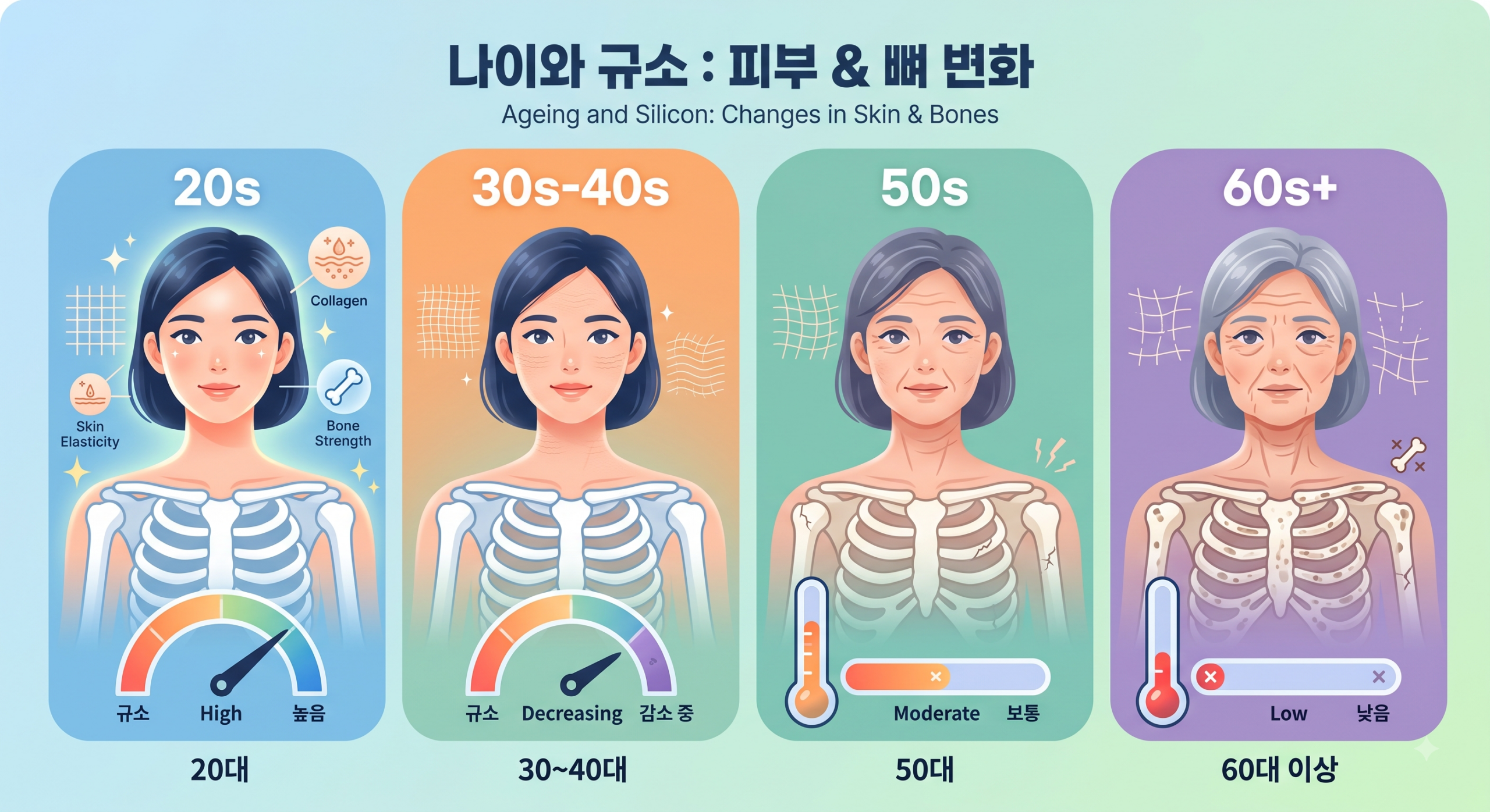 규소 부족과 연령별 피부·뼈 변화 일러스트