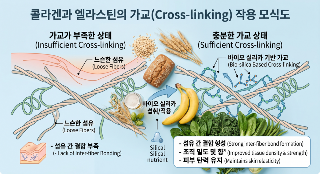 규소가 풍부한 식품 모음